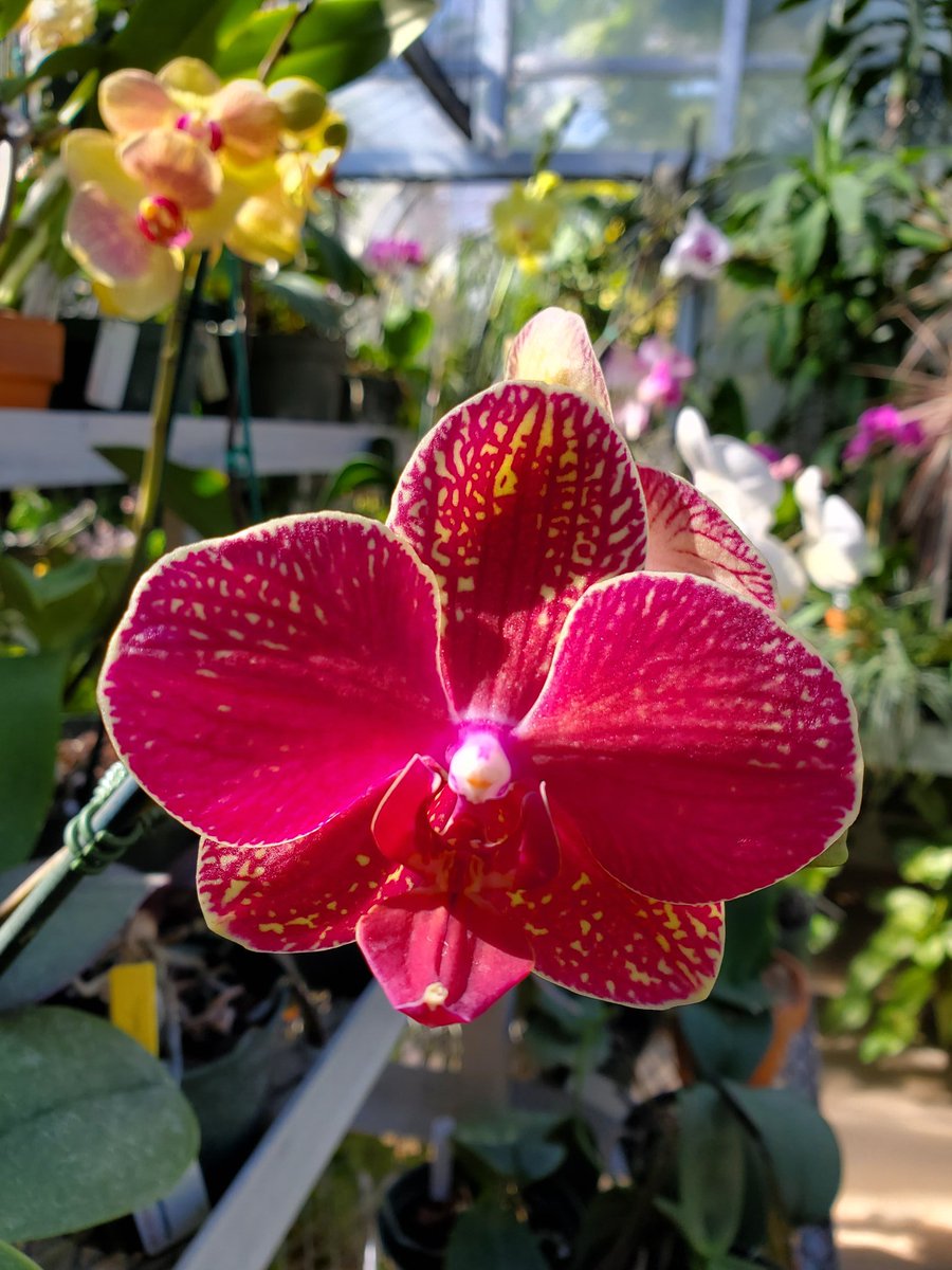 Hillwood Estate, Museum, and Gardens <a href="/HillwoodMuseum/">Hillwood Museum DC</a>