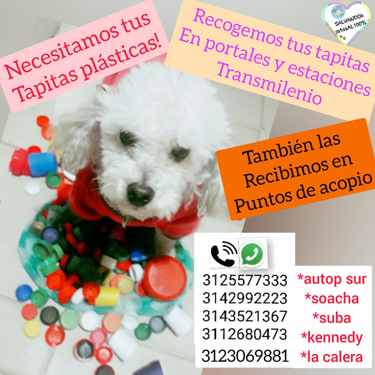 SALVANDO4AL1OO's tweet photo. Nos ayudan a recoger muchas #tapitasplásticas ?
#Bogotá
#tapasplásticas #reciclando #tapasypatas #tapitasybarriguitas #tapasymástapas #cuidaelplaneta https://t.co/SF4jWwtsX8
