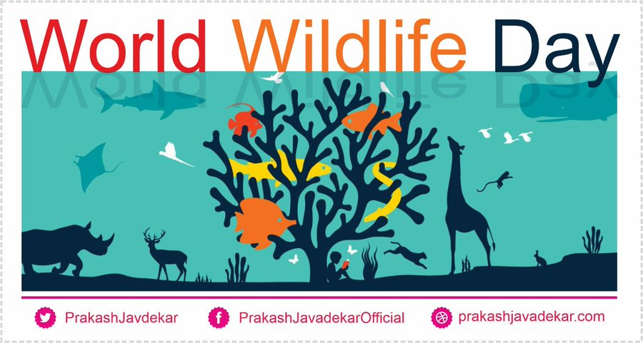 PrakashJavdekar's tweet photo. India is proud to have 2967 Tigers, 30,000 Elephants, 3000 single horn Rhinos, 500+ Lions. This wildlife wealth is a testimony to India's robust ecology & continued government policies for conservation under the leadership of PM @narendramodi .
#WorldWildlifeDay2020 https://t.co/fObs6wllFT