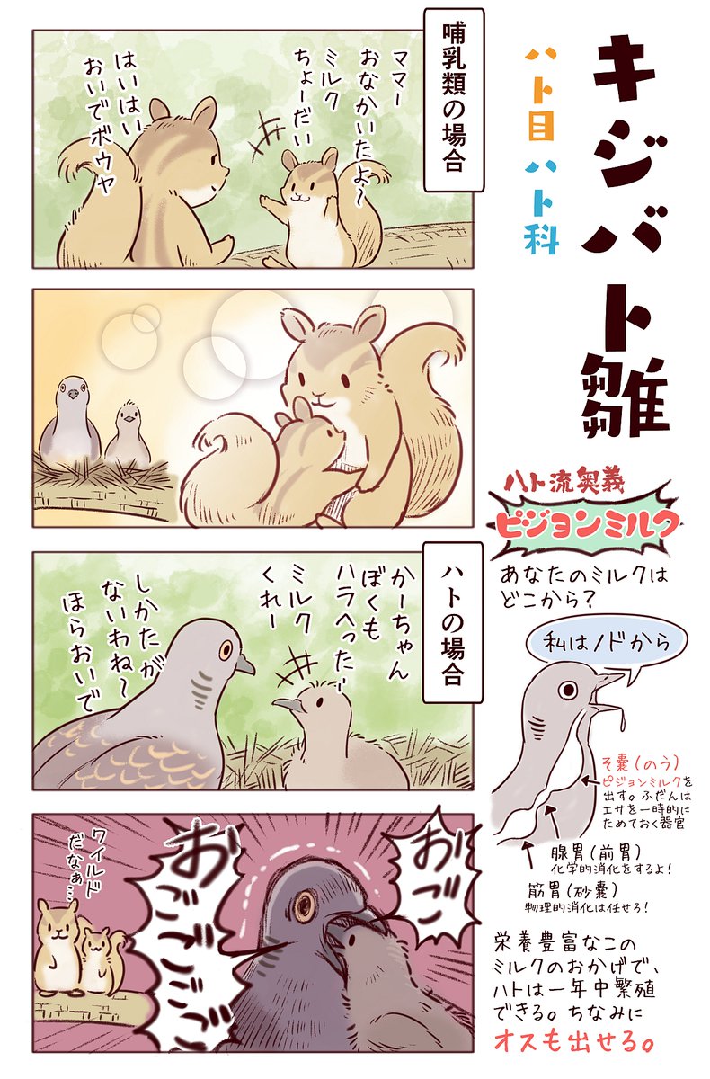 わいるどらいふっ!第165～168種
ワイルドでしたたかないろんな雛たち
#ひな祭り 