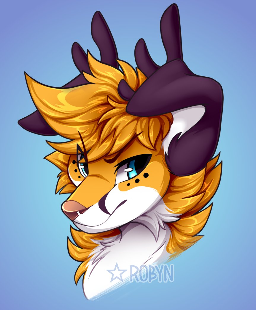 Robyn_Wraith's tweet photo. Gift for my stupid fucking friend who keeps fucking buying me things and I will KEEP giving him gifts if he keeps this shit up I SWEAR to god-
#antlers #bust #coyote #cute #dog #emodog #furry #fursona #male #puma #haireddog #haigani https://t.co/ta7vmOoi5C