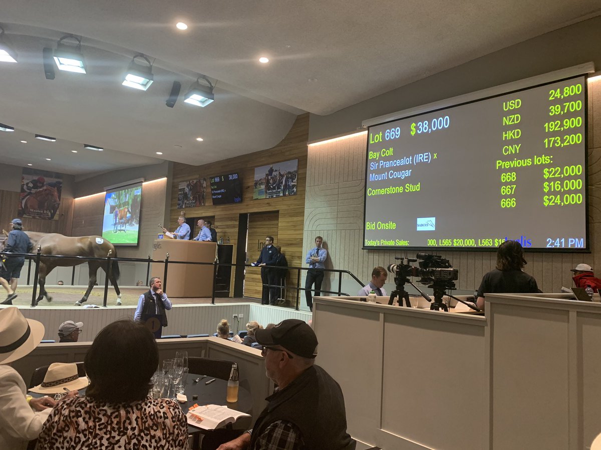 SAbreeders's tweet photo. Sir Prancealot delivers a $38,000 first time @inglis_sales Premier sale for @CornerstoneStud and heβs headed back to SA and Jon OβConnor Racing #SABred #SAtrained #SABOIS #lot669 https://t.co/ERRwfowDK2
