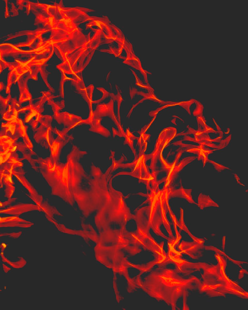 The Lighthouse Cafe tweet media