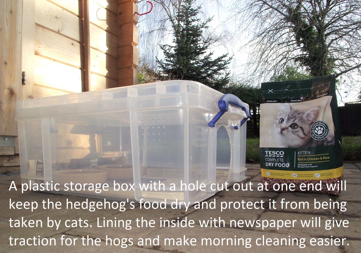 sainsburys wet cat food