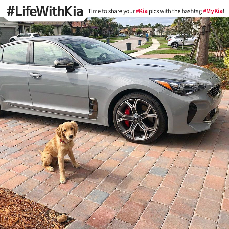 Kia Worldwide tweet media