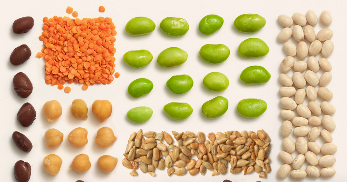 Harrys_Flowers's tweet photo. Plant protein ideas for days when you aren't eating meat. 

@Chatelaine 

https://t.co/7IgkJXoe2q

#meatlessmonday #plantproteins #victoriabc https://t.co/WWjNAyCfNJ