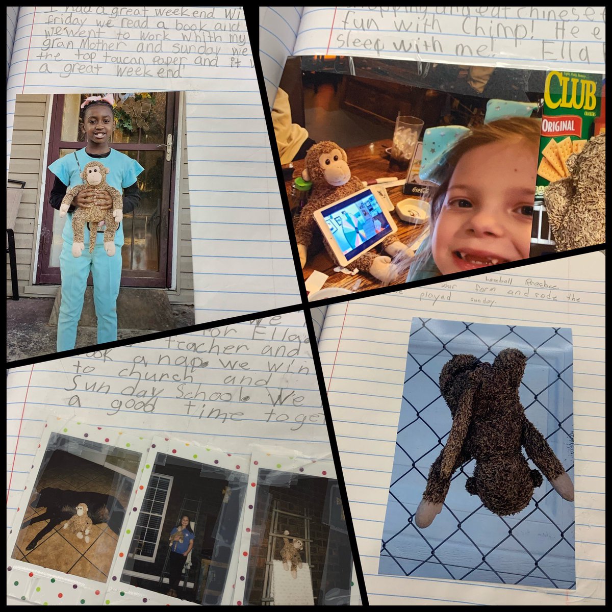 MrsElizabeth08's tweet photo. Mondays are always enjoyable because the class gets to find out what Chimp did over the weekend with one of the students. He has been on many adventures over the past 10 years. #LifeIn2ndGrade #HESPouncers https://t.co/TG2eBg5Rg7