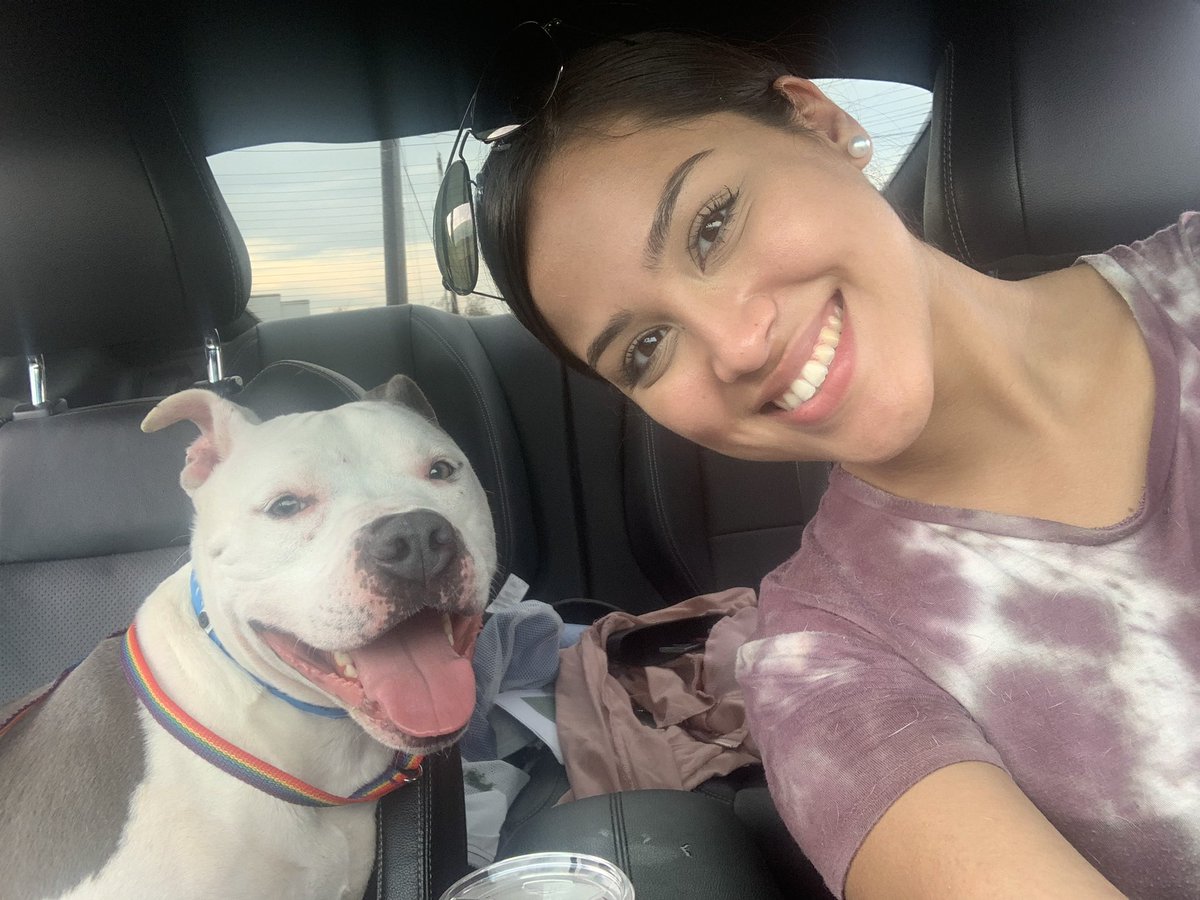 moniquevilla4's tweet photo. I entered the shelter and came out with a new son. Meet (I still don’t know what to name him) Villanueva. He’s the sweetest little Pitbull you could ever meet, doesn’t stop smiling,and really doesn’t know how to eat a puppuchino♥️ https://t.co/ZNIFW2tXkG