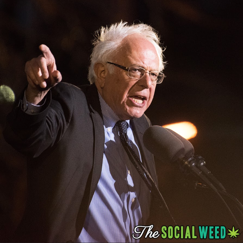 The 2020 election is right around the corner. Many democrats favor cannabis legalization. Get the scoop on how each candidate stands on the topic. Read more here thesocialweed.com/news/420-in-20…

#MondayMentions #TheSocialWeed #LetsGetSocial #Its420Somewhere