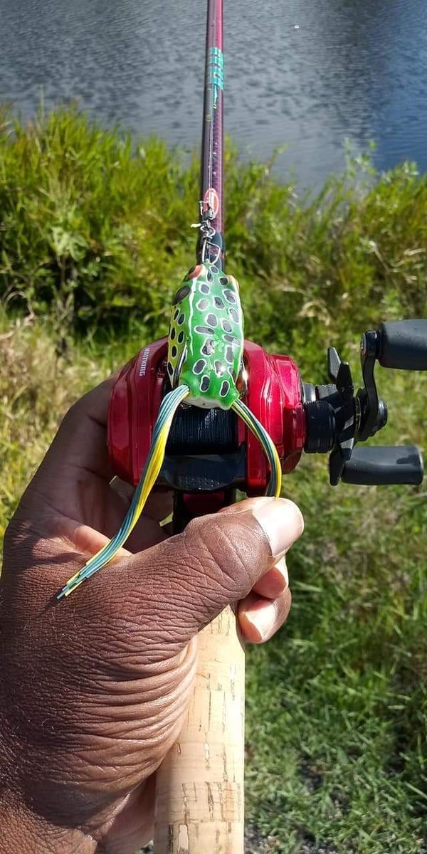 miltonthomp1's tweet photo. Love my frog setup for bass fishing. Royal legend elite red.
#BassSpawn #kastking https://t.co/Tg186pVAKH