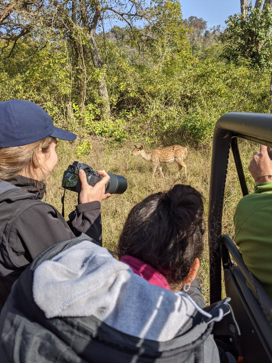 JadeTonos's tweet photo. Yesterday's outdoor adventures were a great start to the conference! Today I get to present my work on the interactions between lemurs and individual fruiting plants! #FSD2020 https://t.co/CKK2GJvW5E