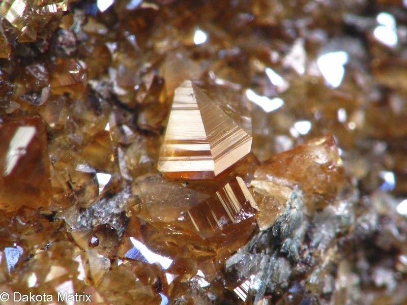 Minshows's tweet photo. Daily Fives tonight at 6p Mtn Time on Dakota Matrix. #rareminerals #minerals https://t.co/4CziKmsuOZ https://t.co/ciaWWsEIVk