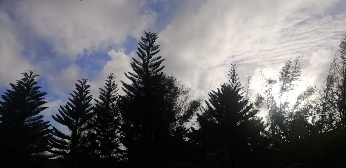 shaye214's tweet image. When all else fail, would you be there to love me? 
When all else fail, would you be brave to see right through me? #sameground