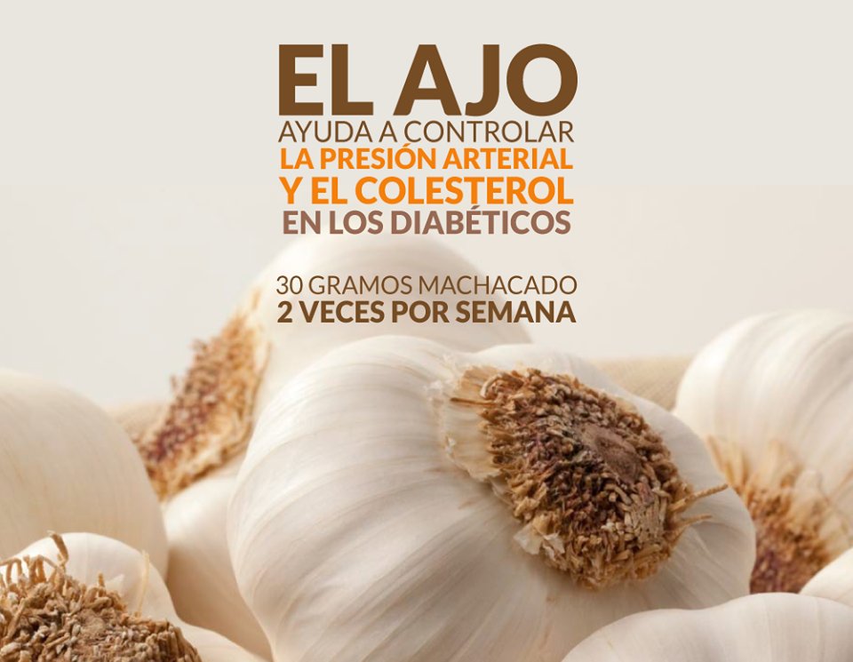 espeendiabetes's tweet photo. Estudios realizados recomiendan consumir ajo crudo como ayuda a bajar los niveles elevados de colesterol en sangre. Además, es una medida preventiva de problemas vasculares (arterias, presión alta) relacionados con la edad y la diabetes.

#VivirConDiabetes #ControlarDiabetes https://t.co/MalldcVY84