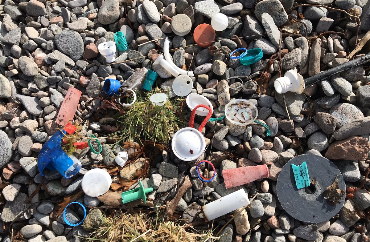 TrishBrewster1's tweet photo. @CleanUpScotland been cleaning up our beach for 7yrs this year x this is from storm Brendan that just two of us picked up https://t.co/HH2tB490Eu