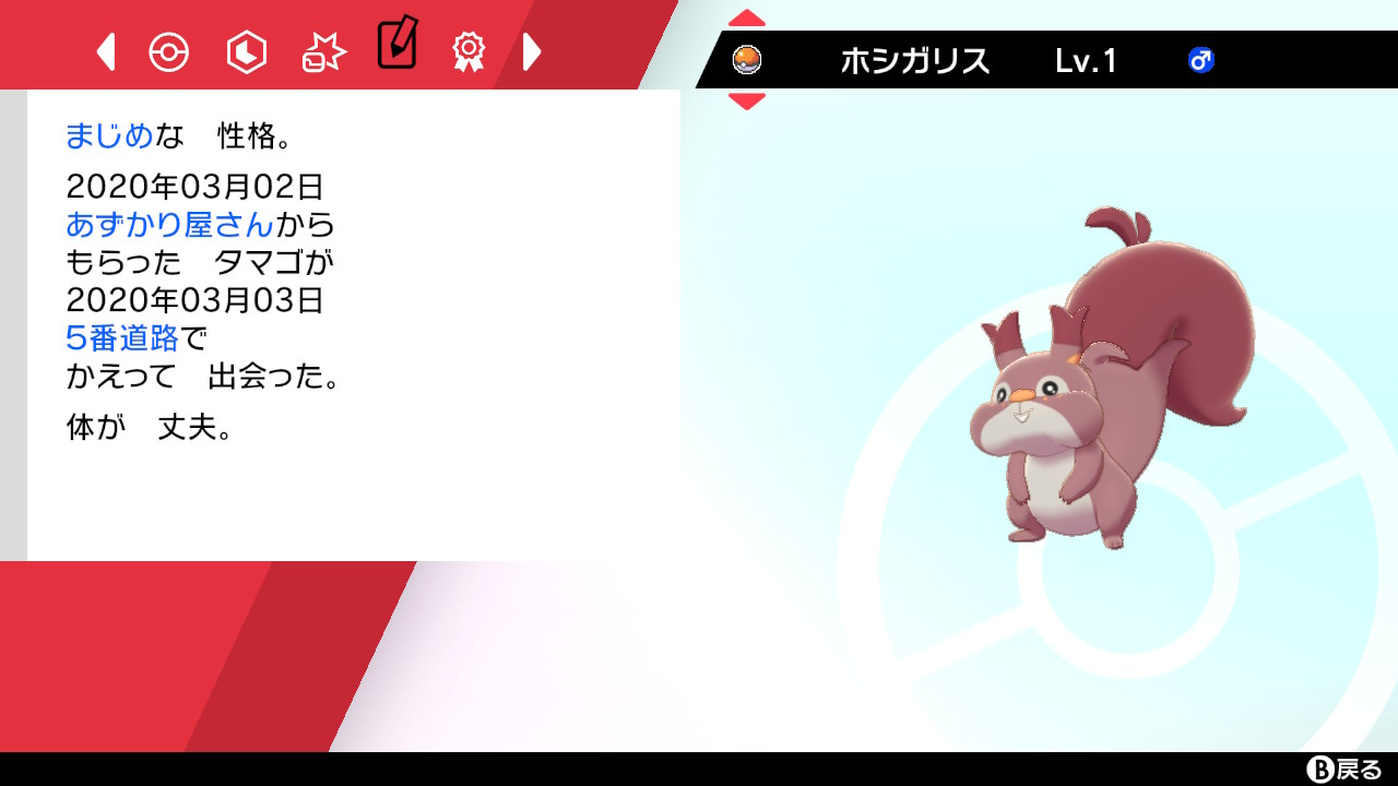 さとし ポケモン剣盾 Nintendoswitch 色違いホシガリス