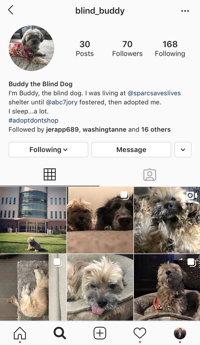 And since he was an L.A. dog, he even got his own social media accounts...