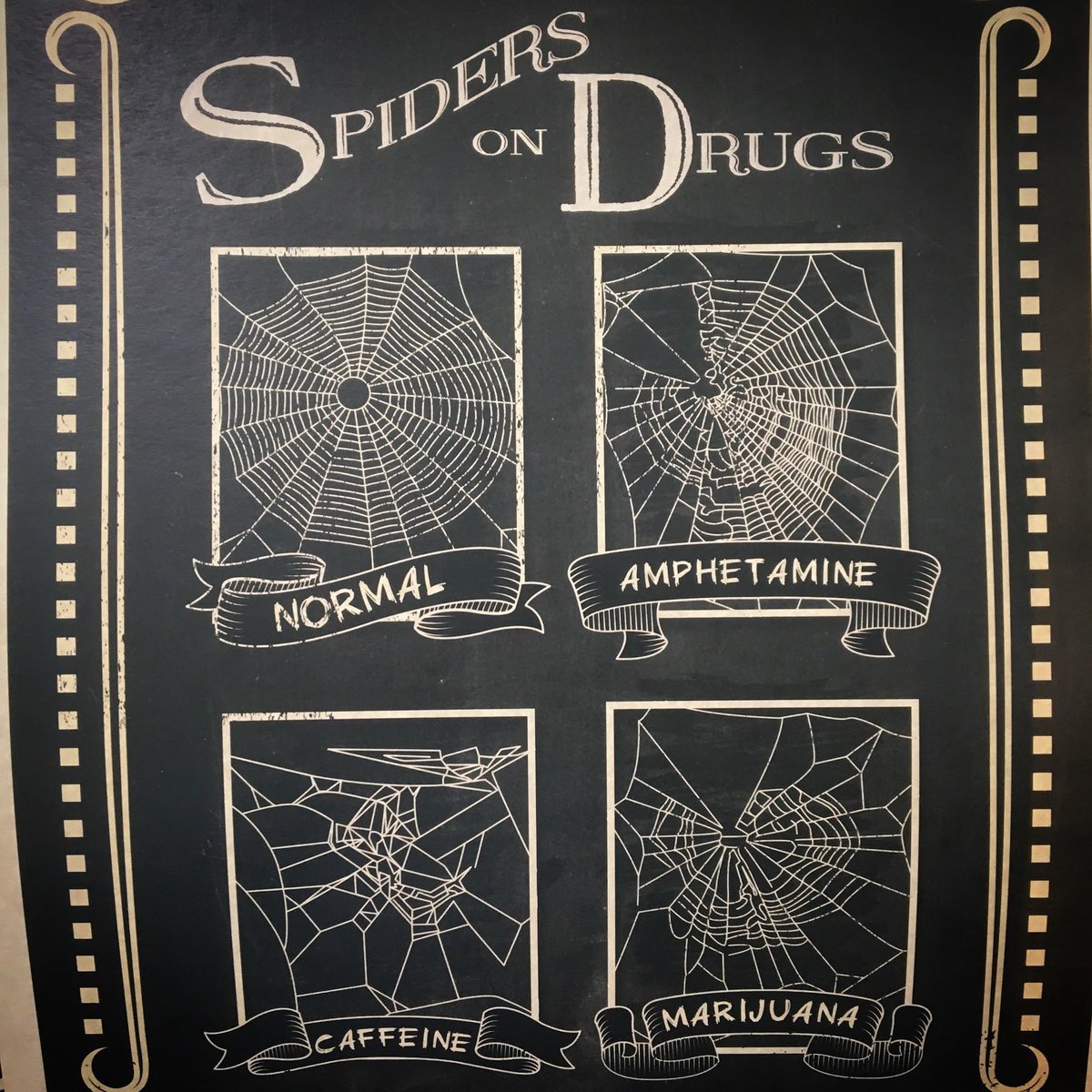 Bradford Fischer tweet media