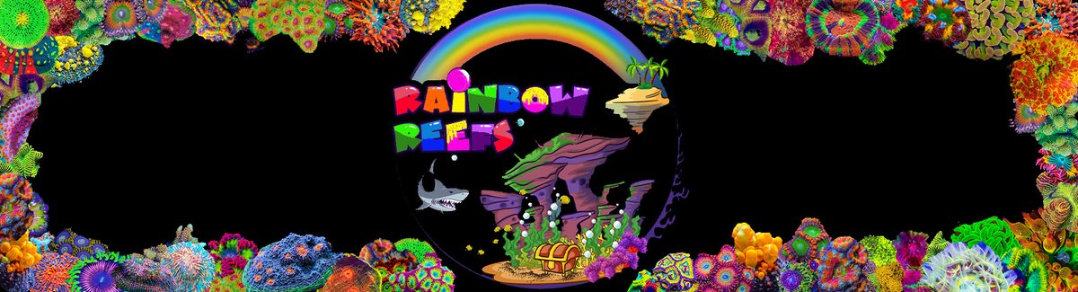 Rainbow Reefs (@RainbowReefs) / Posts / X
