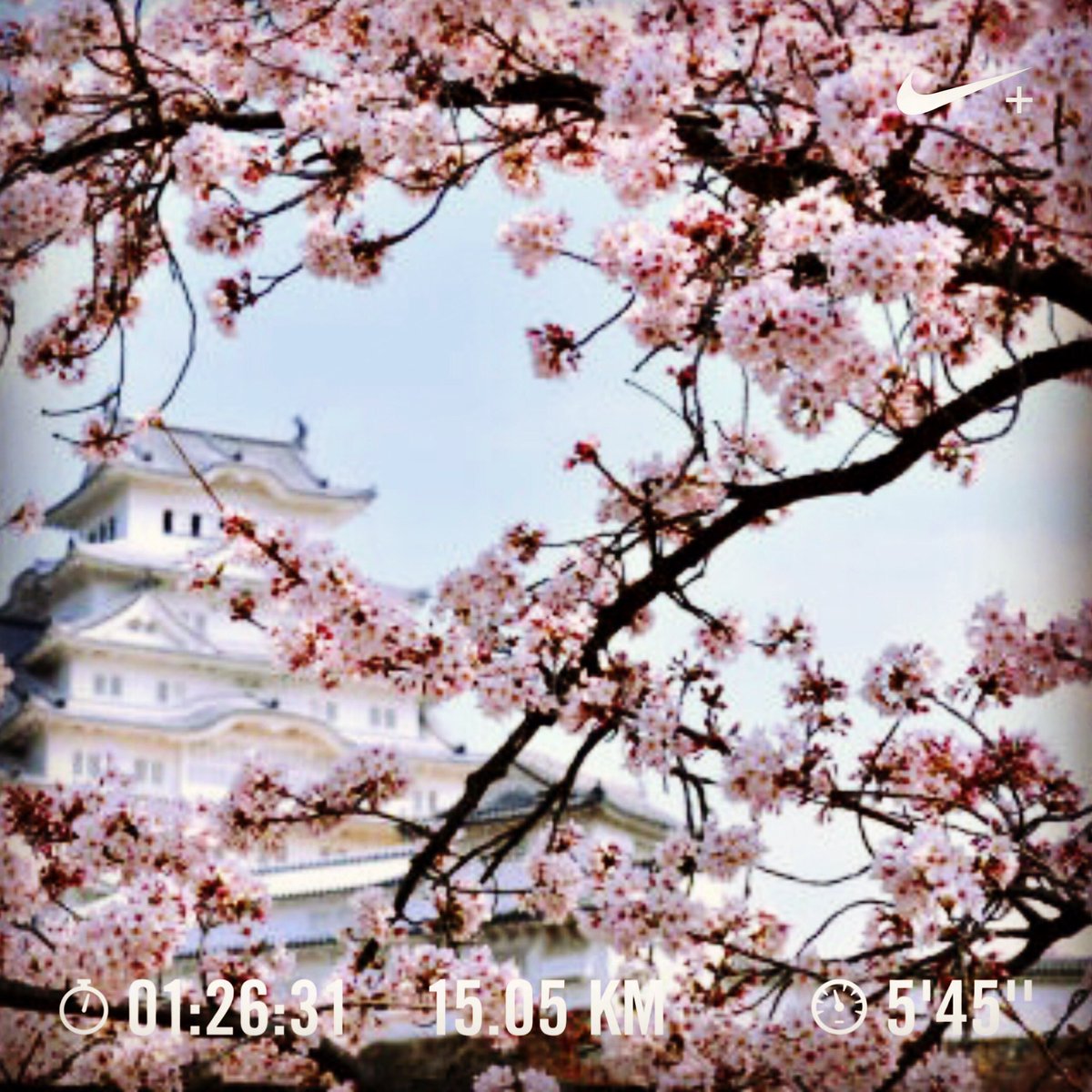 最新版 新型コロナのすべて すべてのコメント ナウティスニュース