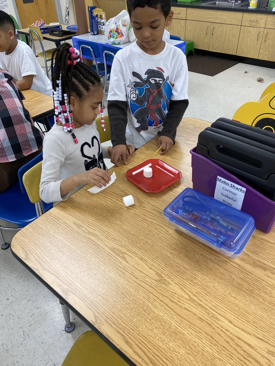MASTFINSUP's tweet photo. Our Kinder sharks in Mrs. Thompson and Mrs. Collins class completed a Truffela tree challenge. Students were given five spaghetti noodles, two marshmallows, and tape to create the tallest truffela tree. #finsup #yeahthatstemschool @MASTFINSUP https://t.co/1F5R04MqwT