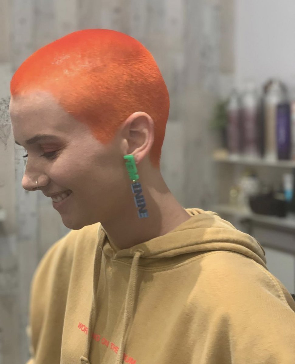 BroodsDaily's tweet photo. 🍊⚡️ https://t.co/XS6CqNWmzZ