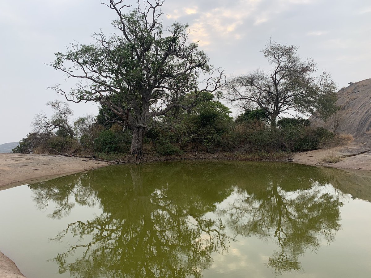 sarah_brinda's tweet photo. Karnataka has the best landscapes! Last training days of #Samaghama - advance training for trained therapists. Nature as the outer witness. Nature as the larger container. #MindBodySoul #BodyandEarth #Elements #AuthenticMovement #YogicPhilosophy #ExpressiveArts https://t.co/itgwzpqhJd