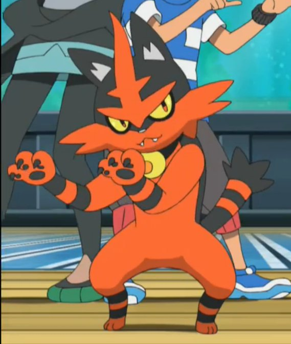 Spoopy Cabbit Time On Twitter Torracat In The Sun Moon Anime Is So Fucking Adorable