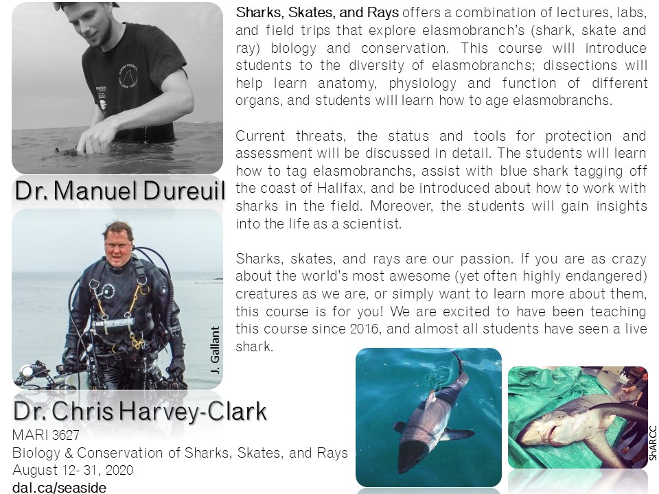 DalSEASIDE's tweet photo. It has been a few busy weeks with #SEASIDE2020 application registrations, but here is another #CourseShowcase with #MARI3627, our most popular course, #SharksSkatesRays https://t.co/u9AvIBaexd