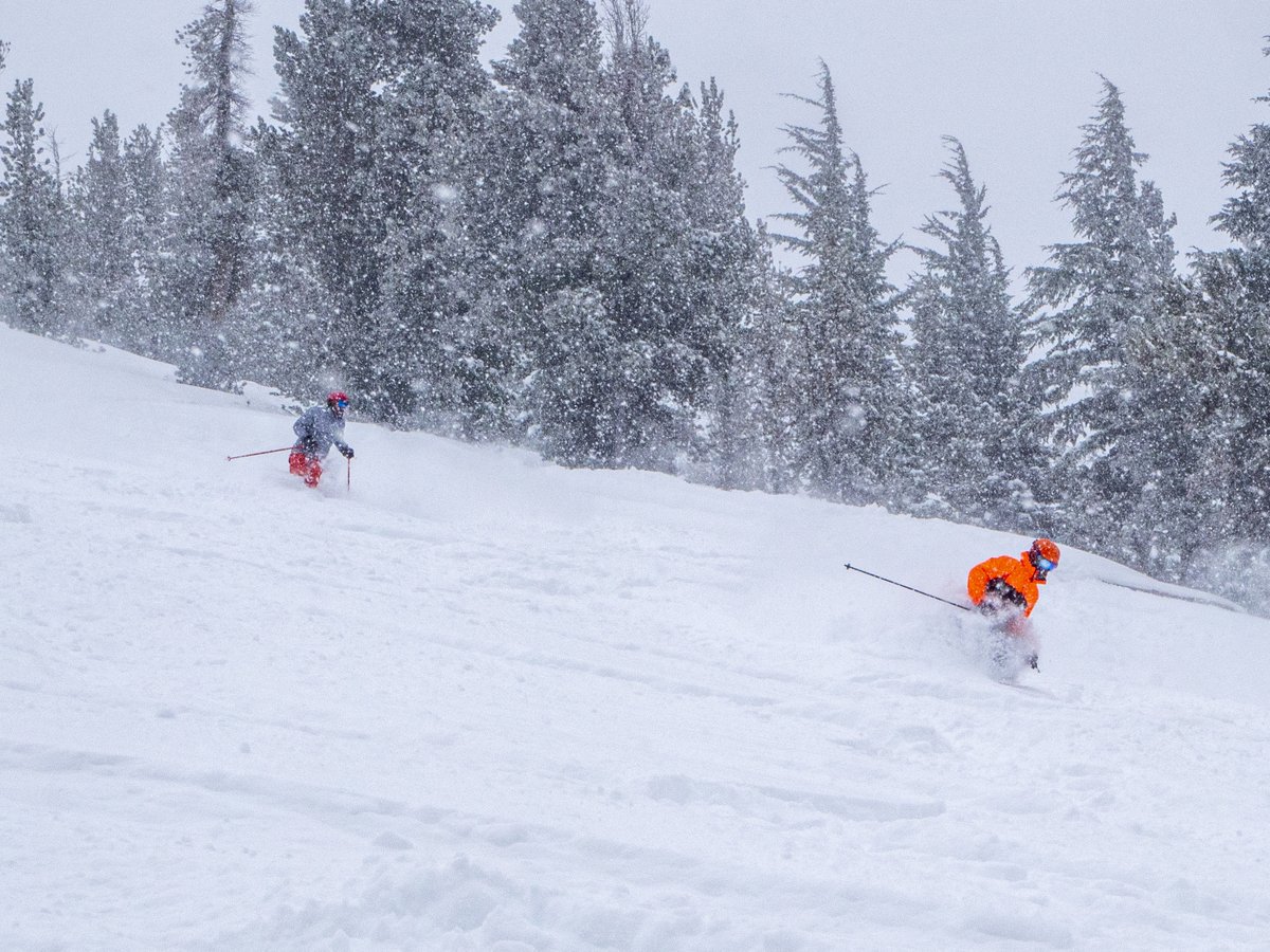 TahoeNorth's tweet photo. ICYMI, North Lake Tahoe received it's first major snowstorm since mid-January, with @mtroseskitahoe receiving the highest total with up to 17 inches! 😱 🌨️ 
Photocredit: (1) @mtroseskitahoe (2) @sugarbowlresort (3) @granlibakken https://t.co/yGdfwMaT3N