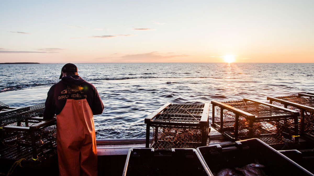 Back on the grind! Sometimes you just have to stop to appreciate it all, from the thrill of the catch to peaceful moments like this. Thanks to Eric Creed for snapping this shot. 

#wearefishing