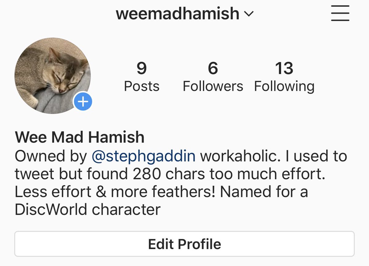 KittyHamish's tweet photo. I’ve moved to Instagram. #JustSaying #catsofinstagram #CatsOnTwitter https://t.co/qjHPbOu7eU