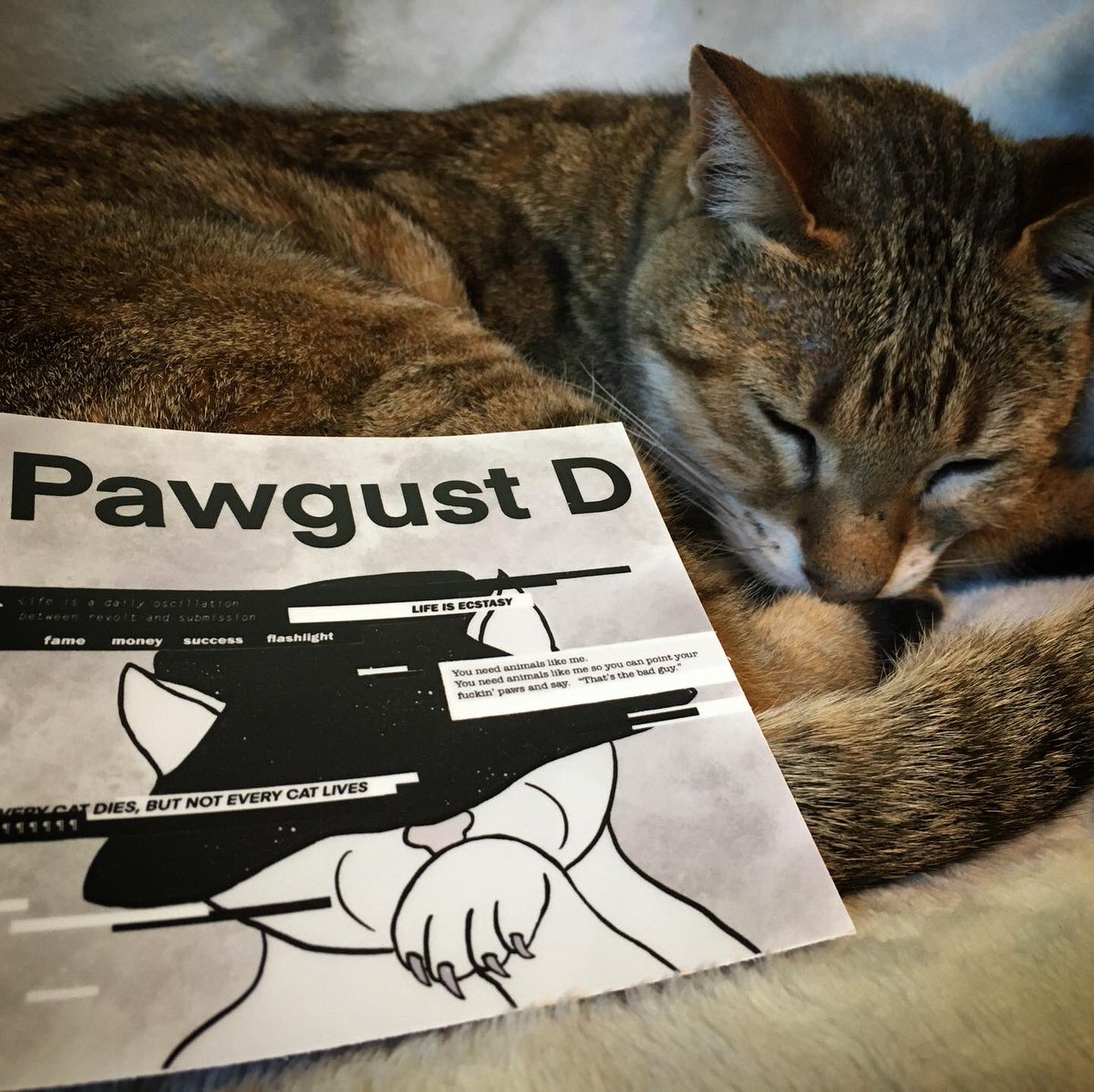 ShopSavvyDesign's tweet photo. my #Catline sticker set is now available on my Etsy! {link in bio}
these 4in x 4in vinyl stickers are perfect for anyone who loves cats, puns, + the rapline of #BTS !!
get #Meowno #HopePurrld or #PawgustD for $2 ea OR get all 3 for $5!! https://t.co/IUB5iL1mkP