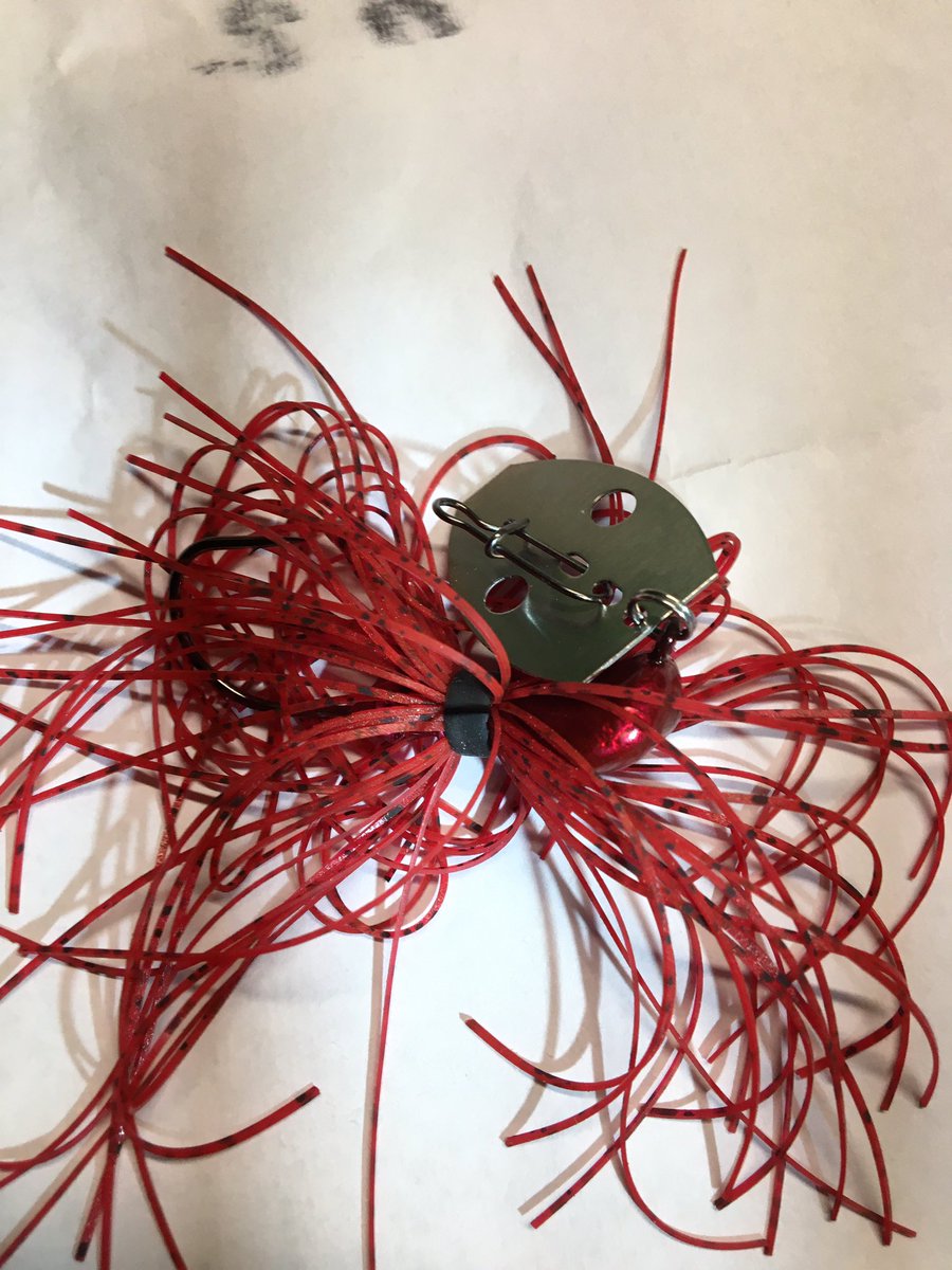 STEVENDEANDEMPS's tweet photo. SD Fishing playing around with a new color Tremor Bait. What’s everyone’s thought? https://t.co/ixzJoDLIed