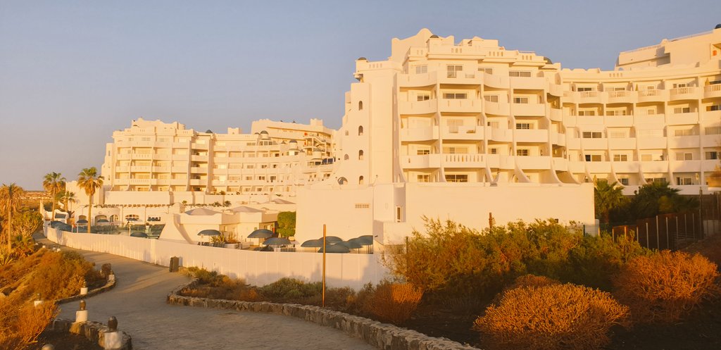 Julie Ogawa tweet media