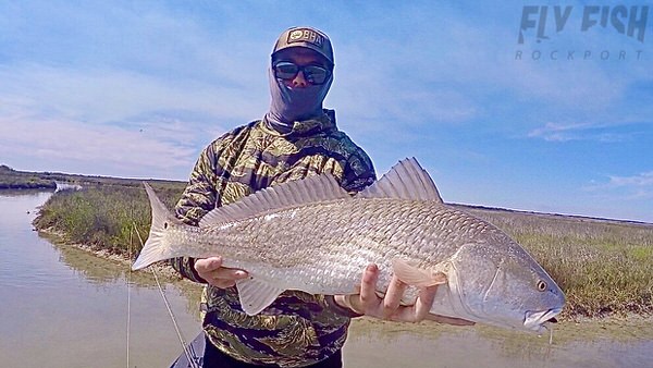 FlyFishRockport's tweet photo. Updated fly fishing report for Rockport, Texas and surrounding waters...

https://t.co/NI6Parh2KR https://t.co/aNcrWhX06R