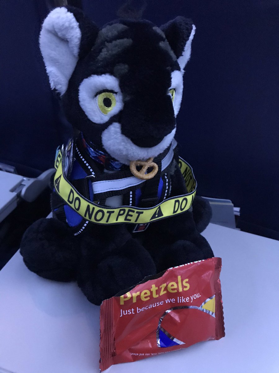 MADSHYARTS's tweet image. Shadow ate all my pretzels 🥨 on the flight ✈️ back home! 🤣🤣🤣 #neopetsplush #kougra