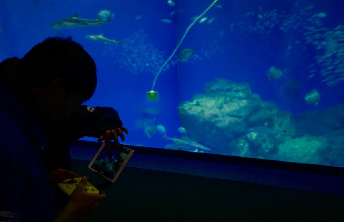 airocean_jp's tweet photo. 水中ドローン✖︎水族館🐠
某水族館で水中ドローン導入に向けての講習会を行いました🐬
どの様な形で使用されるのか楽しみです!!
📍全国で水中ドローンの講習会を行っております!是非興味があるからご連絡ください!!
#水中ドローン #gladiusmini #水族館 https://t.co/BMCeYD2798