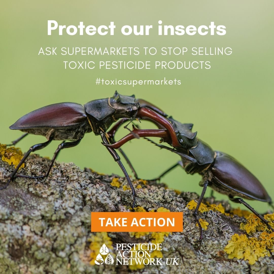 DaveGoulson's tweet photo. Time to take pesticide products off supermarket shelves? Follow the link to see how you can support this campaign
https://t.co/fHu5ryAKlc https://t.co/1wMJpDAs5y