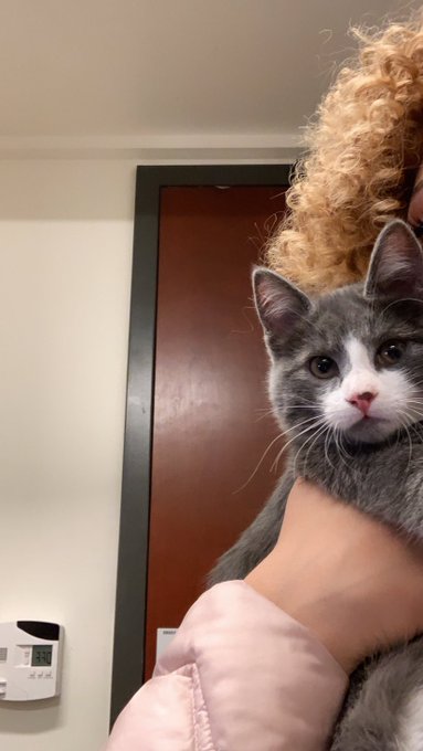 🥰🥰🥰🥰 https://t.co/GGKtYZBx9H