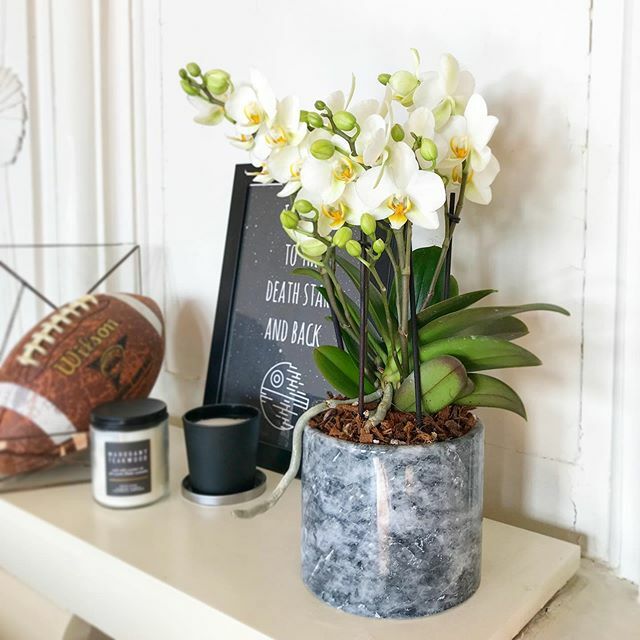 Mutluluk dediğin fotoğrafa yansır mı? Fotoğraf dediğin neyi gösterir? 
Kalbinde mutluluk bir güneş gibi parlayanlara #Gina #BloomAndFresh 💐 ift.tt/2wXd1V9