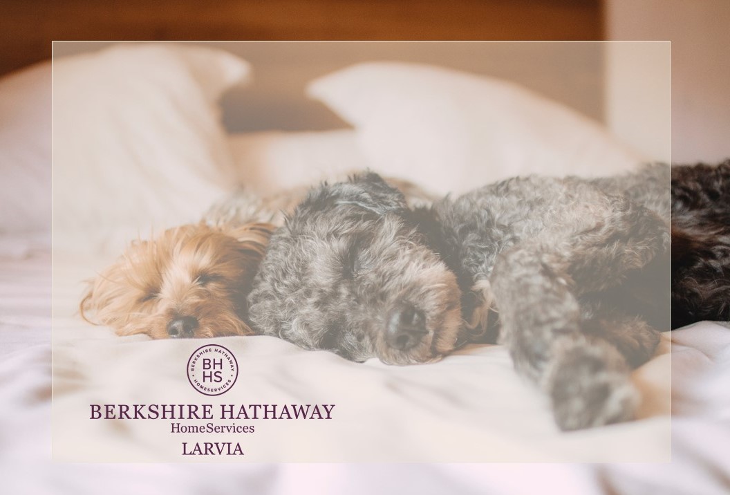 BHHSSpain's tweet photo. You´ll sleep better in a new home!
Madrid +34 912771071
La Moraleja Madrid +34 910228442
Barcelona +34934160145
info@bhhslarvia.com
#BHHS #BHHSLARVIA #barcelona #madrid #realestate #LuxuryProperties #SpainProperties #SpainRealEstate #SpainAgent #SpainRealty https://t.co/yjPBmxSxyu