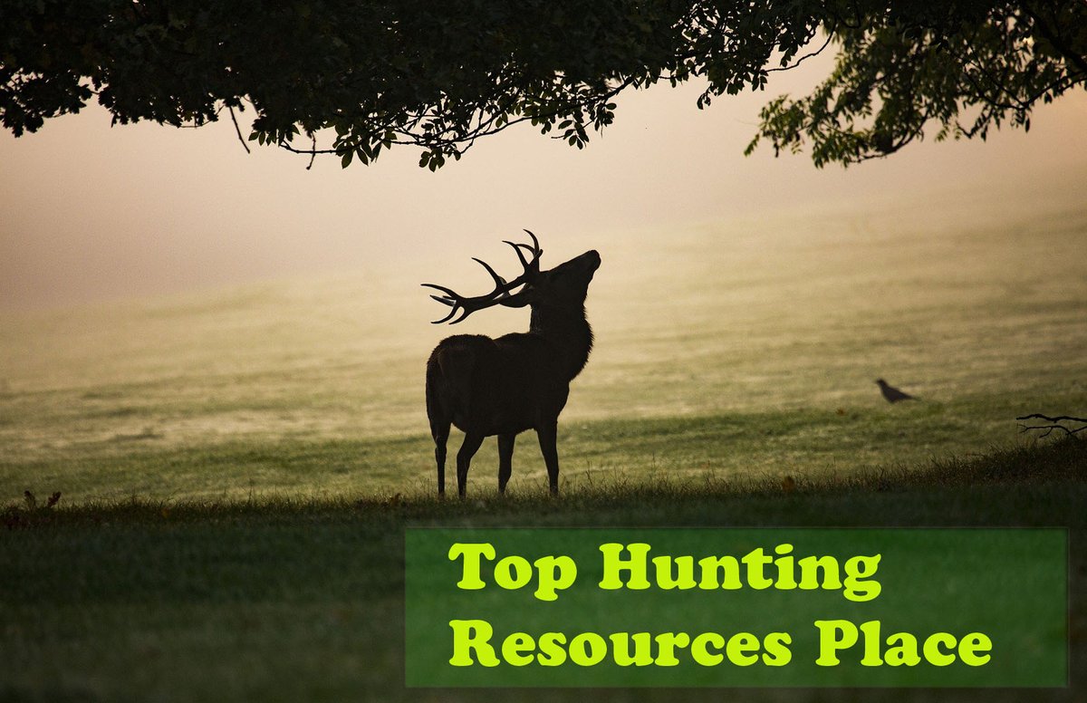 huntingspro's tweet photo. If you need proven and necessary all kinds of #hunting_resources just stay with us. follow our all off resources https://t.co/nzWERRF0qc https://t.co/6VrM3pWzsl