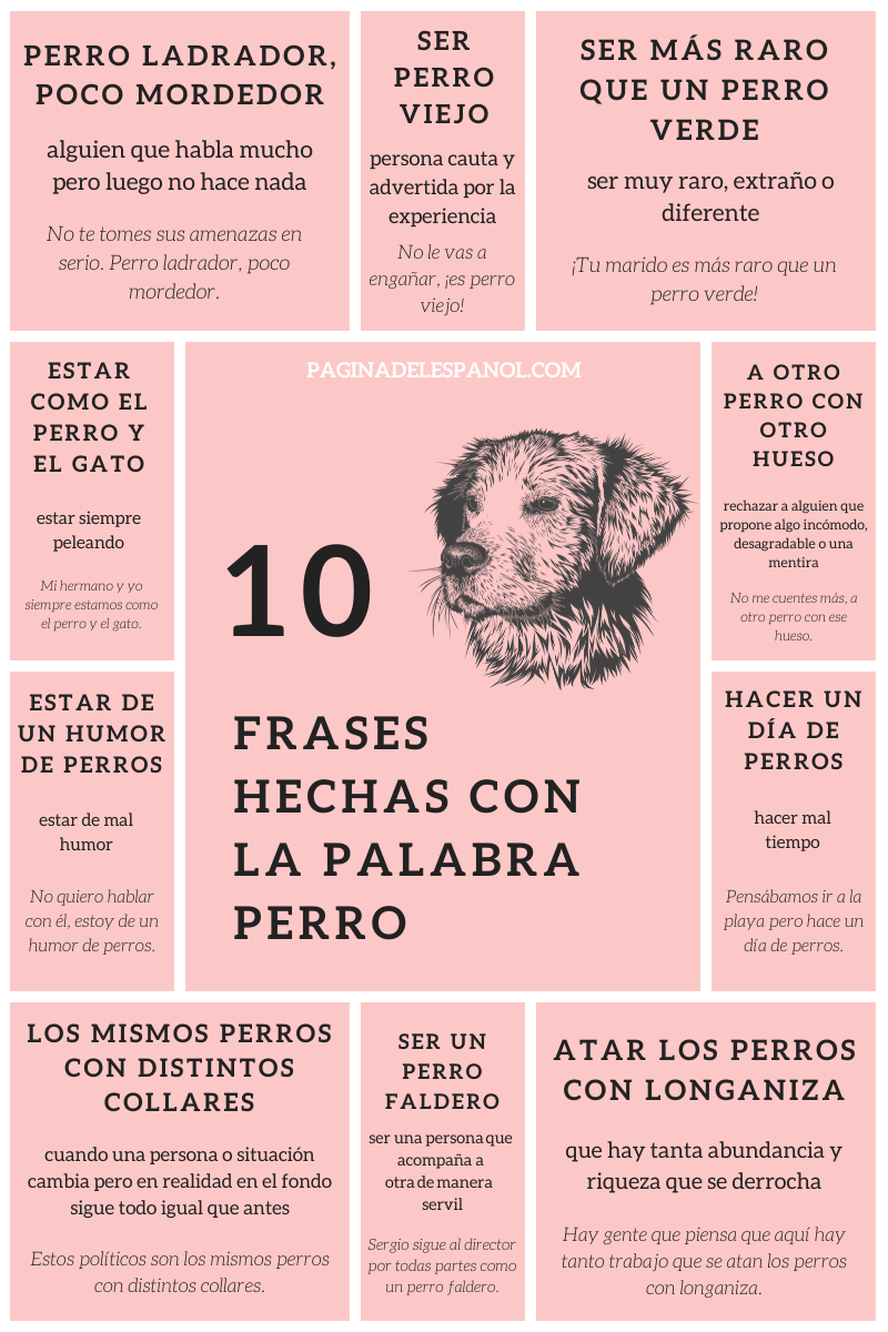 EsMONTALBAN's tweet image. ¿Te gustan los animales? 10 frases hechas con la palabra #perro! Aquí tienes este ejercicio para que practiques tu español. 👉ow.ly/du9d50yAin9
#LearnSpanish #Practicaespañol #spanishcourses #escuelamontalbán #Granada