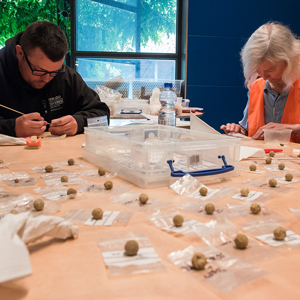 DigWaterloo's tweet photo. Behind the scenes, WU is always working on the finds that it's unearthed. From cleaning & conservation, to tagging and sorting, there's always something to be done! Head to https://t.co/fI8dov9JP9 to find out more about our work outside of excavation! #WU2020 #Finds #Archaeology https://t.co/15DlalfcAa