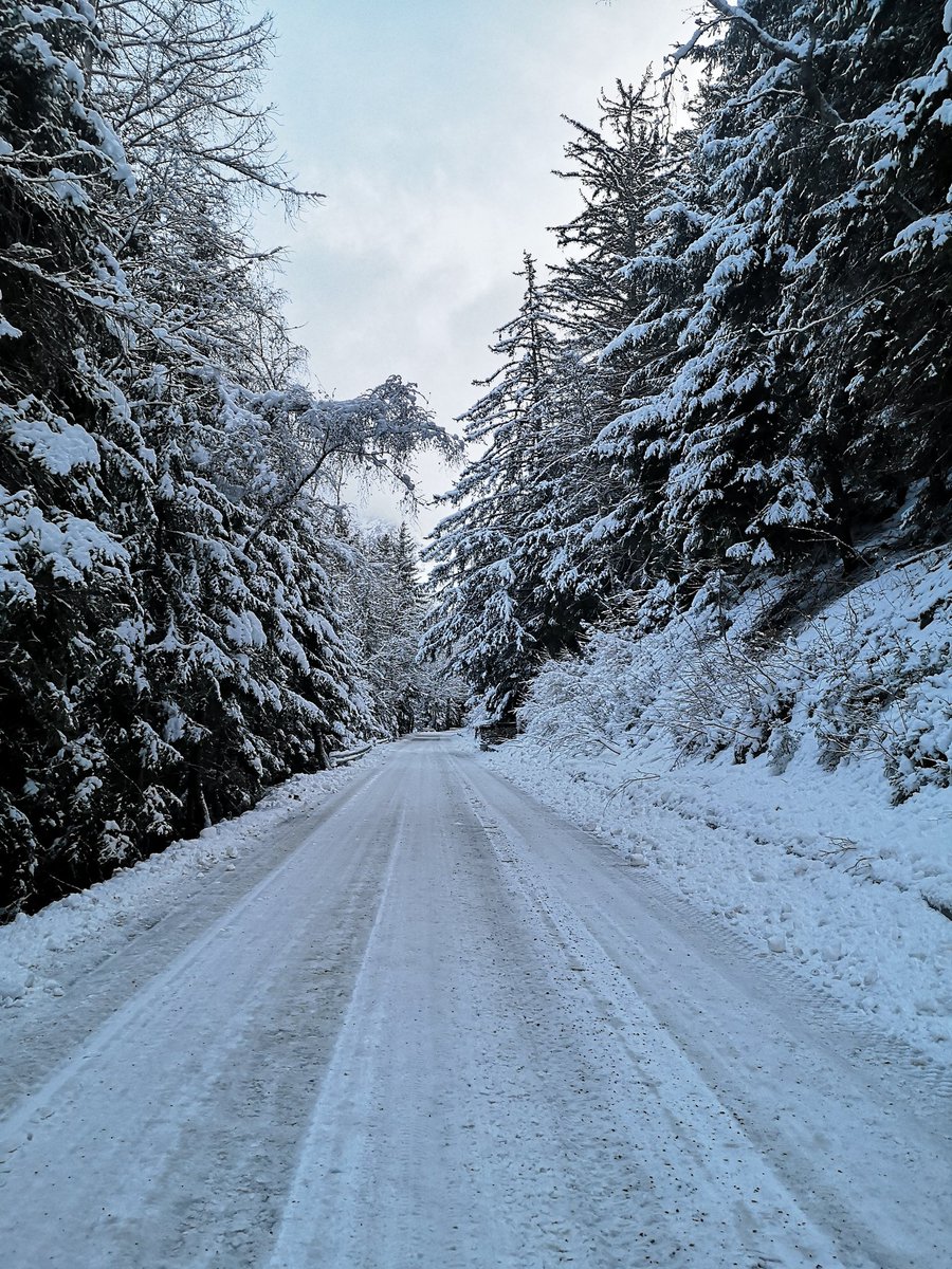 bormioski's tweet image. #bormio questa mattina si presenta così! 😍☃️❄️

Paesaggio imbiancato da favola.

Guardate le nostre webcam: bormioski.eu/webcam-bormio/

#neve #nevicata #3marzo
@3BMeteo @skiinfoit @neveitalia @skiweather @bollettinineve @Bormio_Tourism @Valtellinanews @in_lombardia