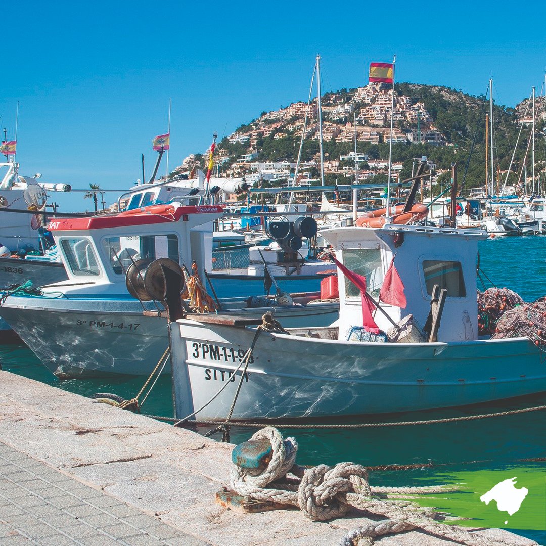 MallorcaRunaway's tweet photo. Descubre Mallorca descargando nuestra app https://t.co/pqVvhewXIl ⛵️

#MallorcaRunaway #livingMallorca #Mallorca2020 #viveMallorca #igersMallorca https://t.co/YlCQyHzbFe