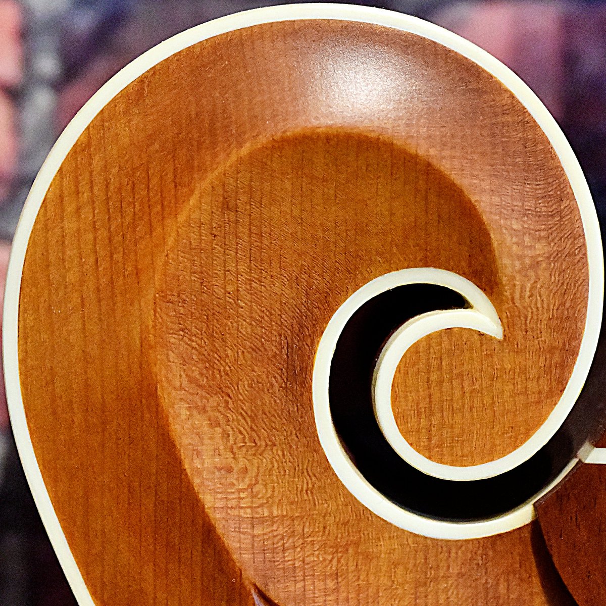 The Acoustic Music Company tweet media