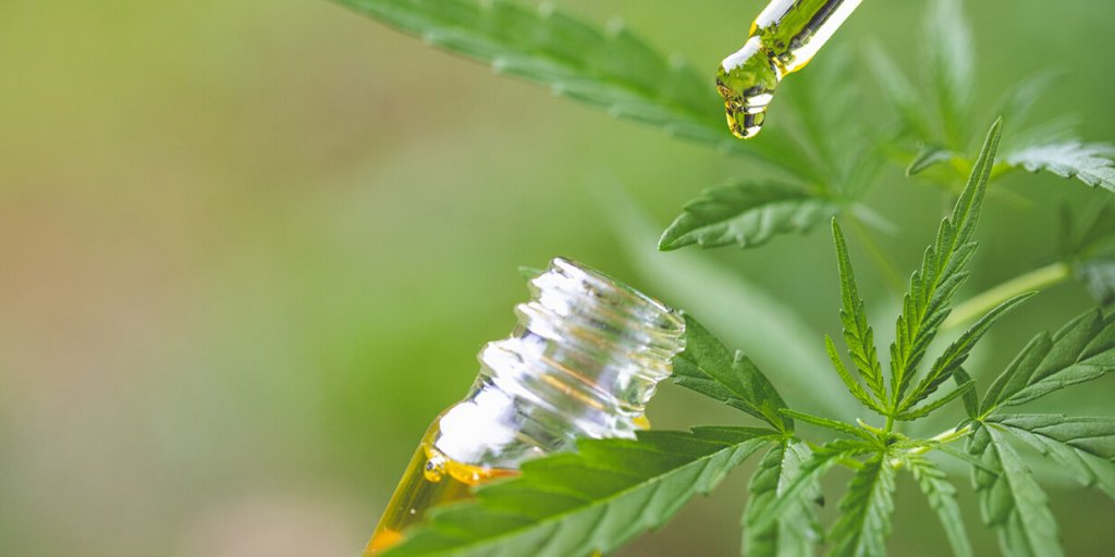 Wat is CBD-olie? Waarvoor dient ze? En is het waar dat de olie gewonnen wordt uit de drug #cannabis? 🤔 Ontdek het allemaal in onze #blog: https://t.co/qXWTkiXFC7 #CBD #cannabidiol #hennep #THC #info #onlineapotheek #pharmamarket https://t.co/9dXsBpMkhZ