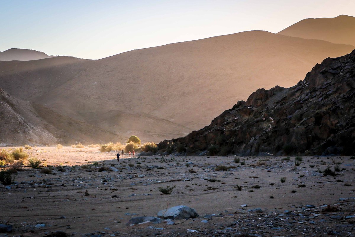 Wildrunsa's tweet photo. Entering events that are bigger than you, that exceed your experience and training, you're guaranteed to learn a few things about your strength and stamina, most of which will be how much more of it you have than you thought! #wildrun #ultra #ultrarun https://t.co/IsgkAvmu8B https://t.co/ROEHxCYpSb